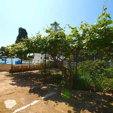Ferienwohnung Fuer 3 Personen Ca 35 Qm In Pula, Istrien Istrische Riviera - B62496 Apartment *